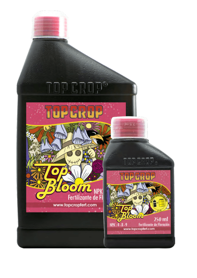 Top Bloom — vista ampliada