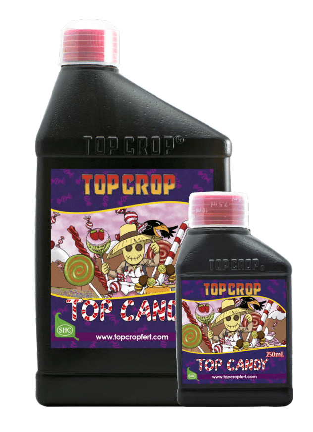 Top Candy — vista ampliada