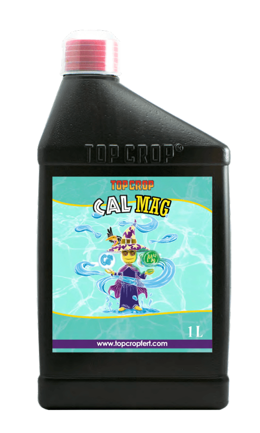 Cal Mag — vista ampliada