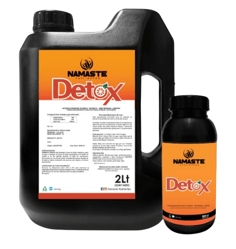 Detox — vista ampliada