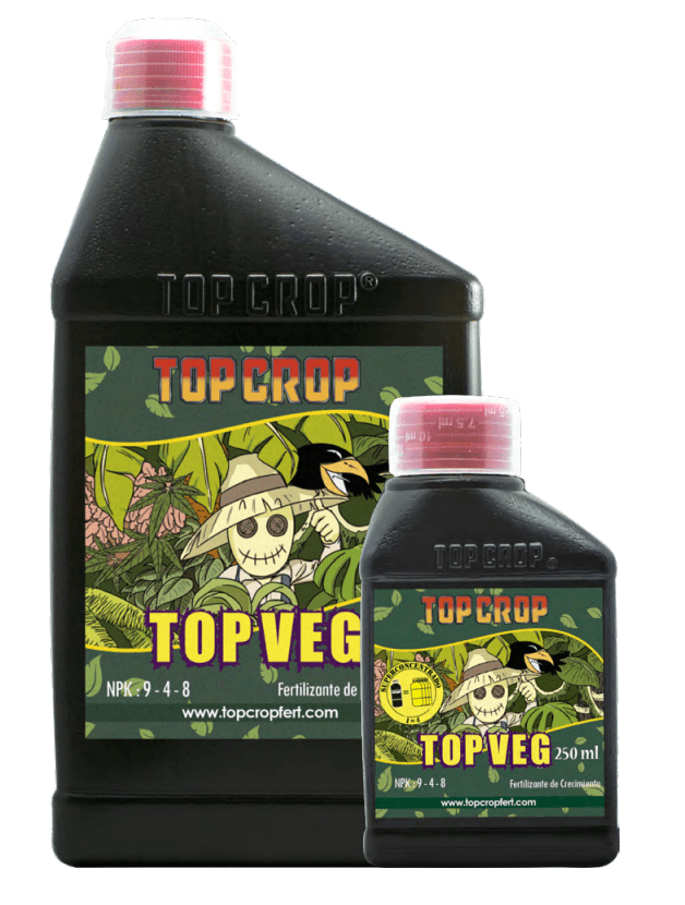 Top Veg — vista ampliada