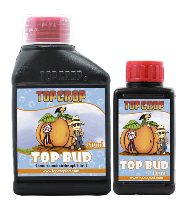 Top Bud — vista ampliada
