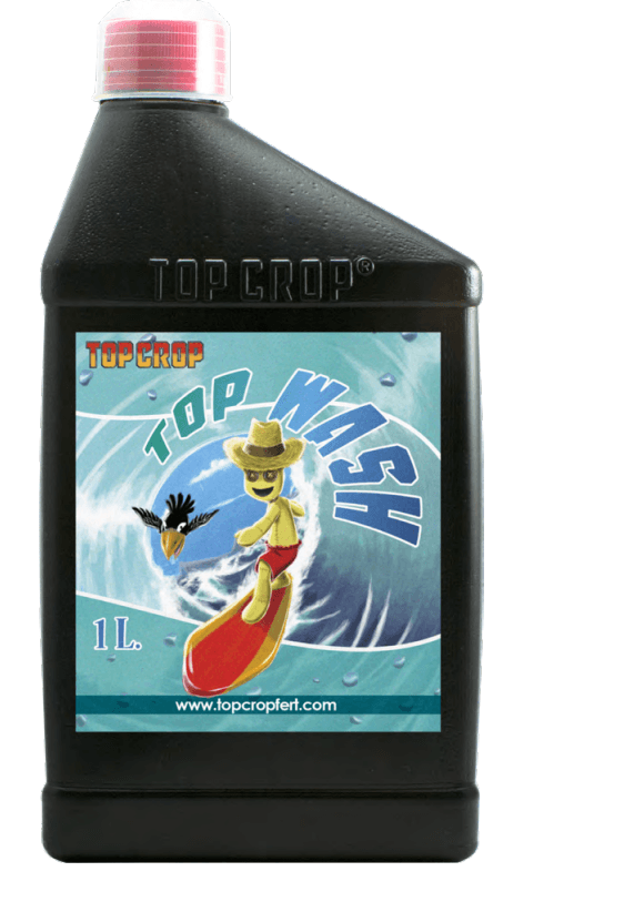 Top Wash — vista ampliada