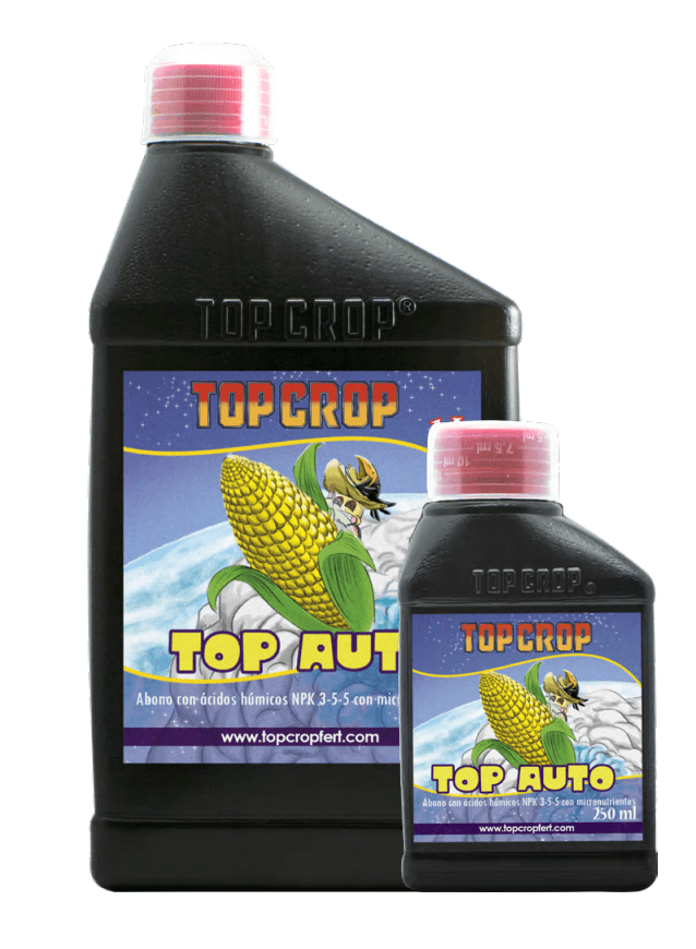 Top Auto — vista ampliada