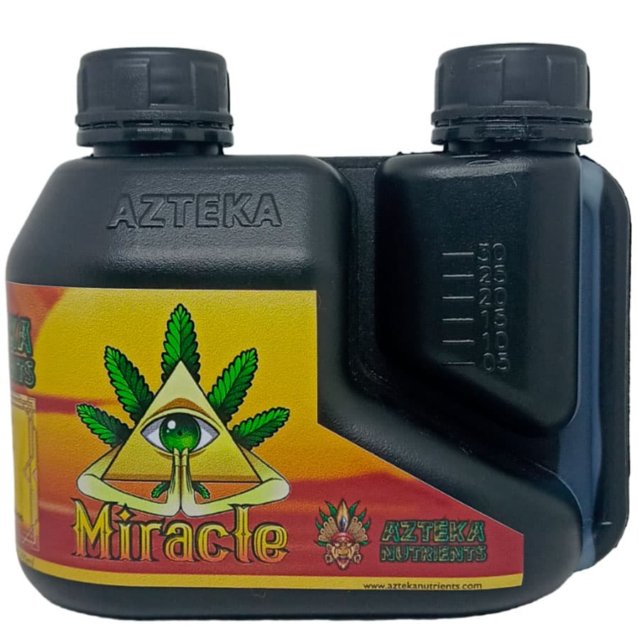 Miracle — vista ampliada