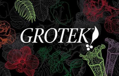 Grotek