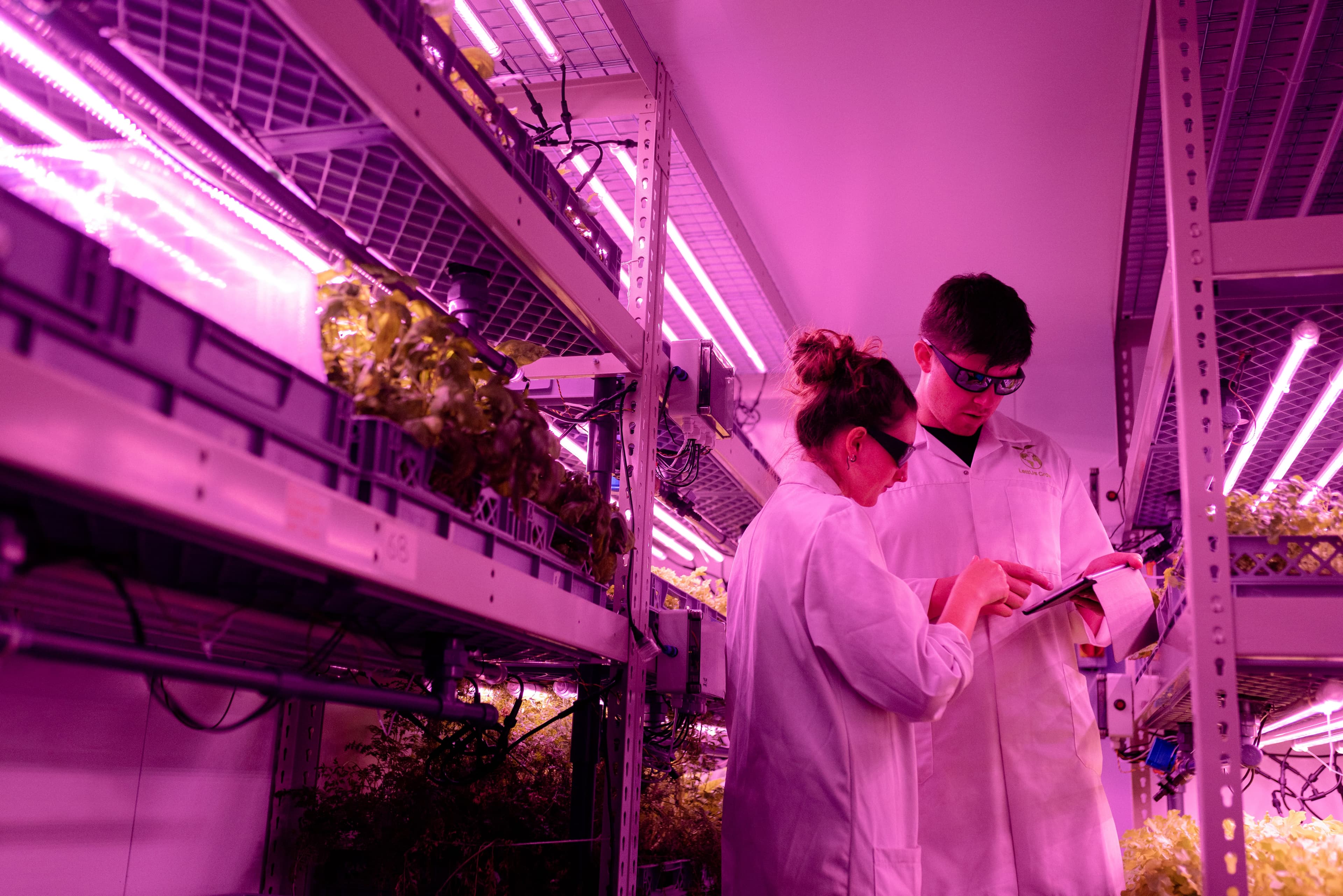 Equipo de investigación en laboratorio de cultivo