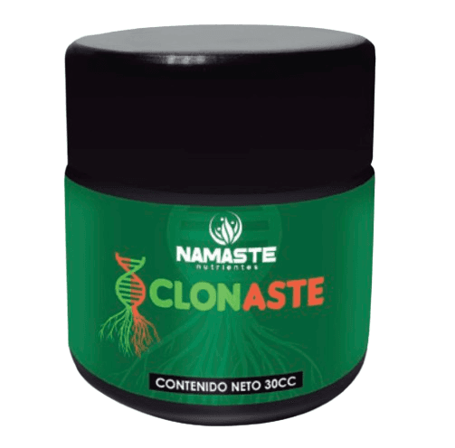 Clonaste Clonaste — Clonación / Enraizamiento