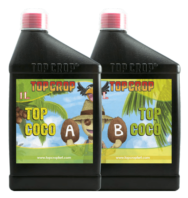 Top Coco A Top Coco A — Todo el ciclo (coco)